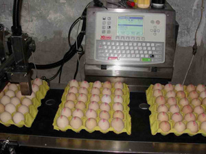 食品行業(yè)